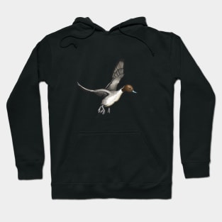 Northern Pintail Hoodie